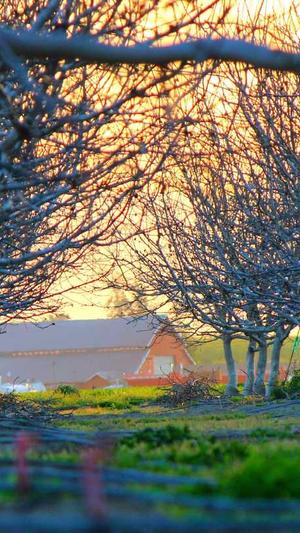 杭州seo推广常用工具截图3