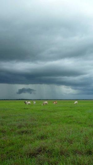 仙桃网站建设截图2