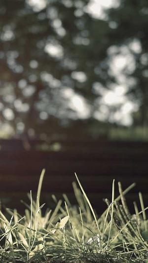 学习seo优化截图3