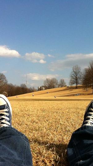 泛目录链接截图1