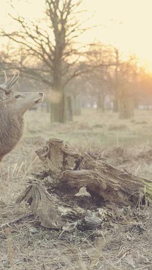 长沙网站制作建设截图3