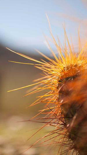 南宁网站建设公司截图2