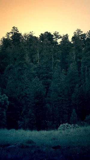 河源网站建设截图1