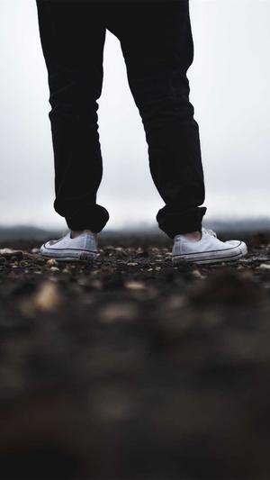 sf泛目录程序截图4