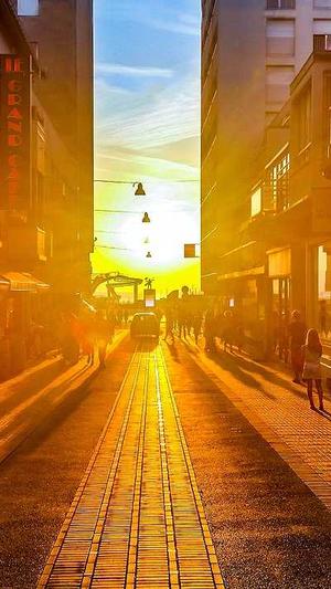 青海蜘蛛池租用哪个好截图1