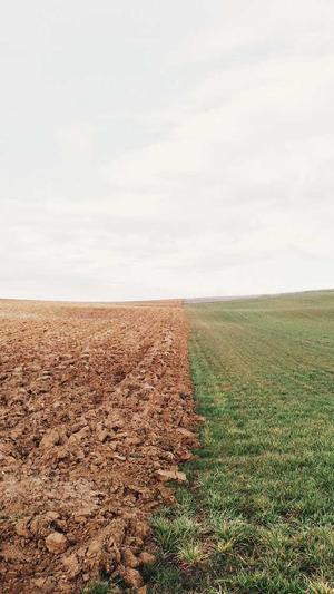 五家渠网站建设截图2