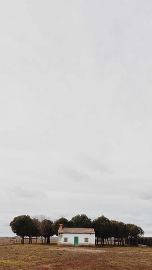 360蜘蛛池的发文平台截图4