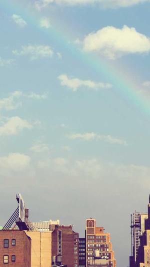 蜘蛛池多少钱一米长截图1