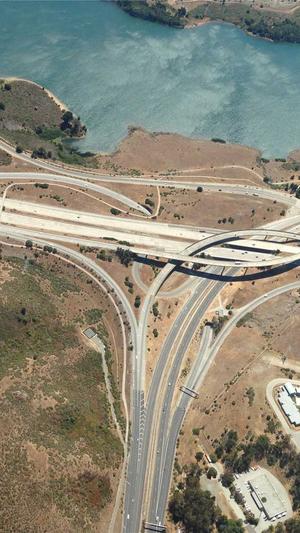 蜘蛛池的危害有多大截图1