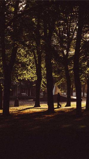 seo技巧优化截图4