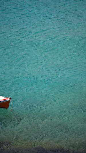 蜘蛛池怎么用视频截图3