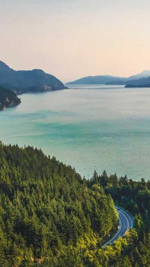 蜘蛛池计费系统截图3