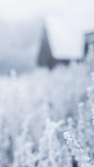 都江堰网站建设截图1