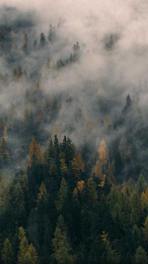 seo工具免费版截图1