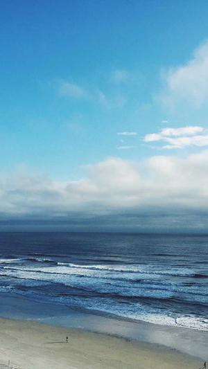 智能侠超级蜘蛛池程序截图3