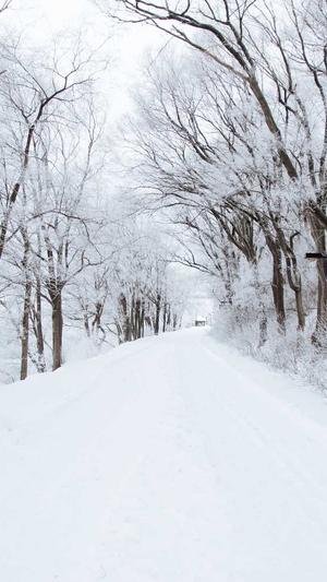 百合seo培训截图3