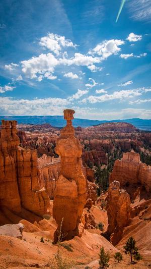 seo工具论坛截图2