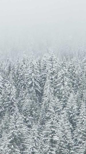 湘潭网站建设截图1