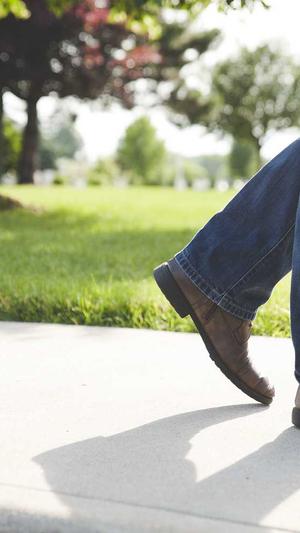 是网站建设截图5