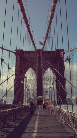 江苏360蜘蛛池出租截图3