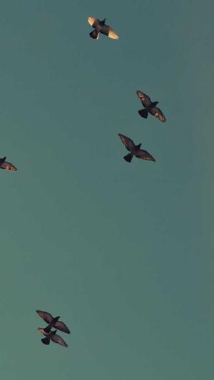 大型的建设工程类考试辅导网站截图3