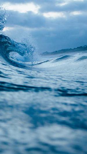 seo工具免费版截图3