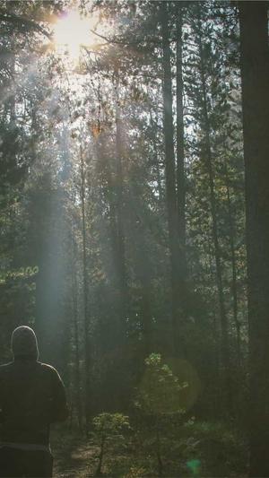 阿里蜘蛛池设置截图2