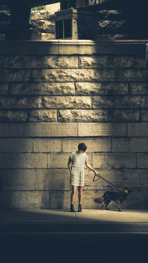 小旋风蜘蛛池 谷歌截图1